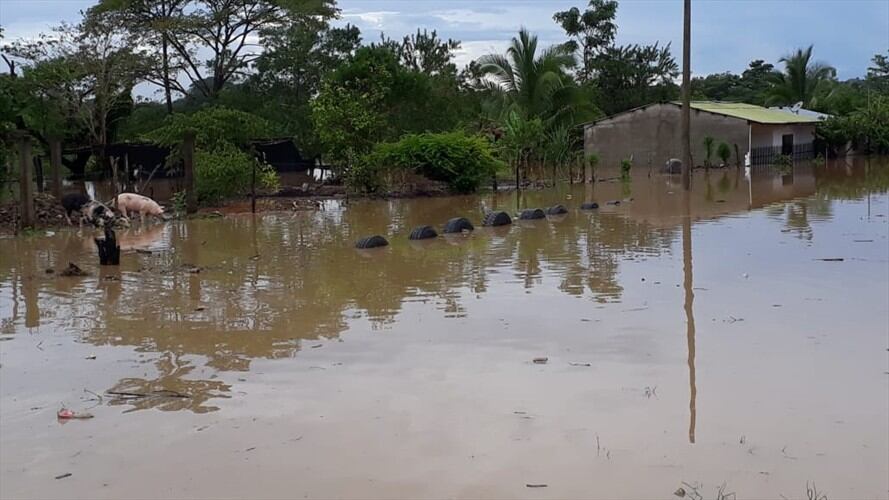 Emergencias en Puerto Libertador, Córdoba, por desbordamiento del río San Jorge. Foto: Cortesía Diario Panorama Del San Jorge