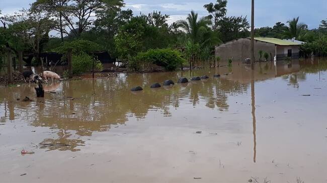Emergencias en Puerto Libertador, Córdoba, por desbordamiento del río San Jorge. Foto: Cortesía Diario Panorama Del San Jorge