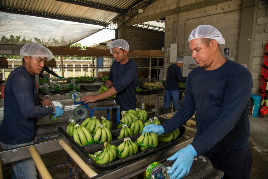 Imagen de referencia/ Asbama