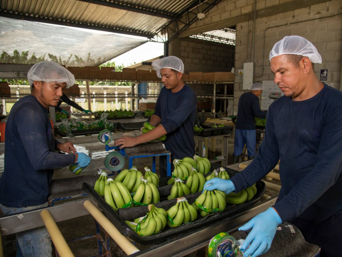 Asbama alerta sobre el impacto de racionamientos eléctricos programados por Air-e