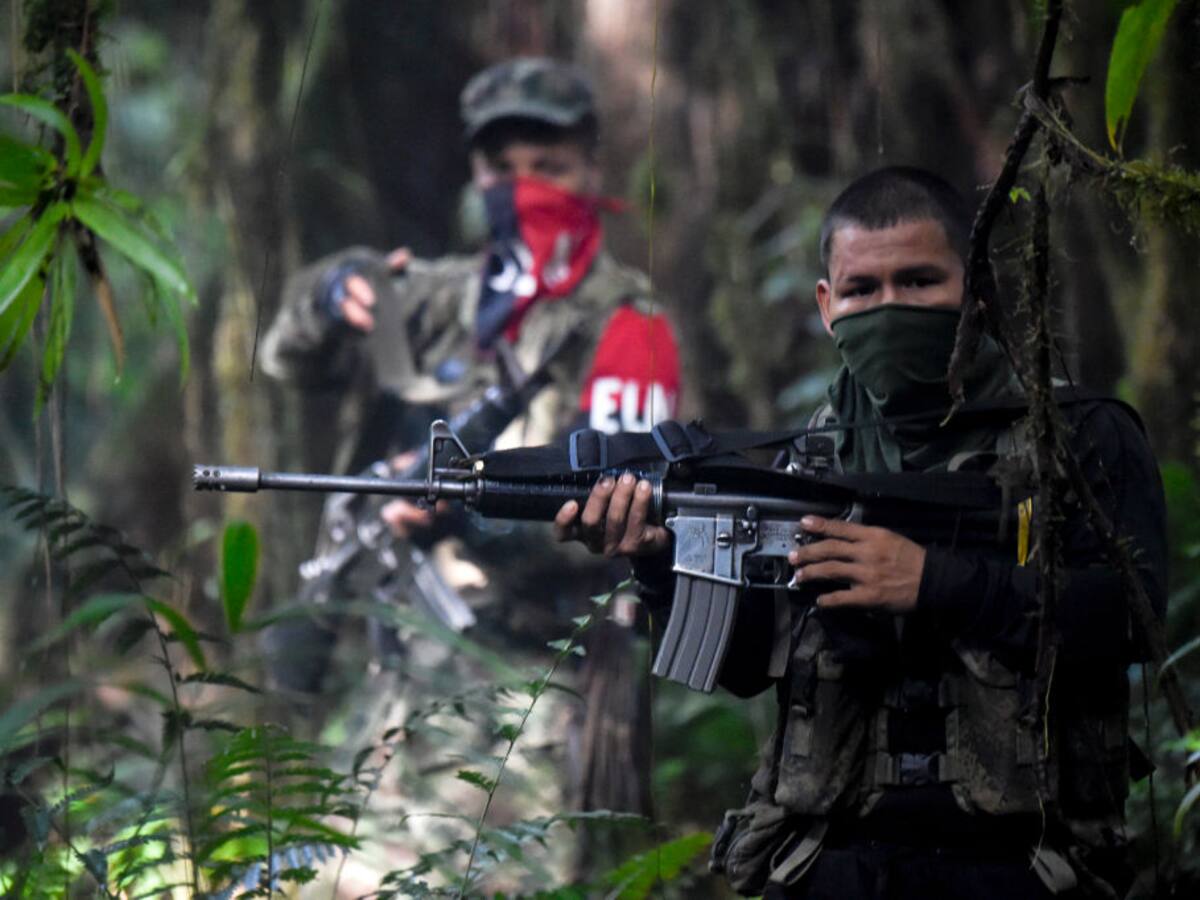 MinInterior aplaudió que se levantara paro armado del ELN