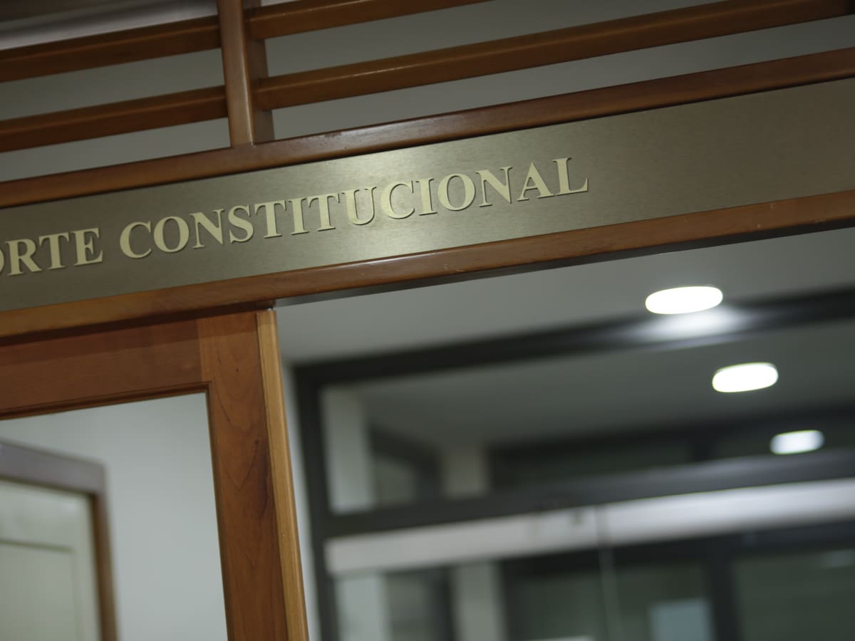 Corte Constitucional tumba decretos ambiental y de cultivos ilícitos para conmoción en el Catatumbo