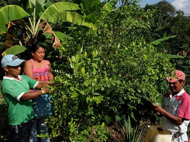 Sí fue equivocado haber cambiado el protocolo de sustitución: Daniel Rico