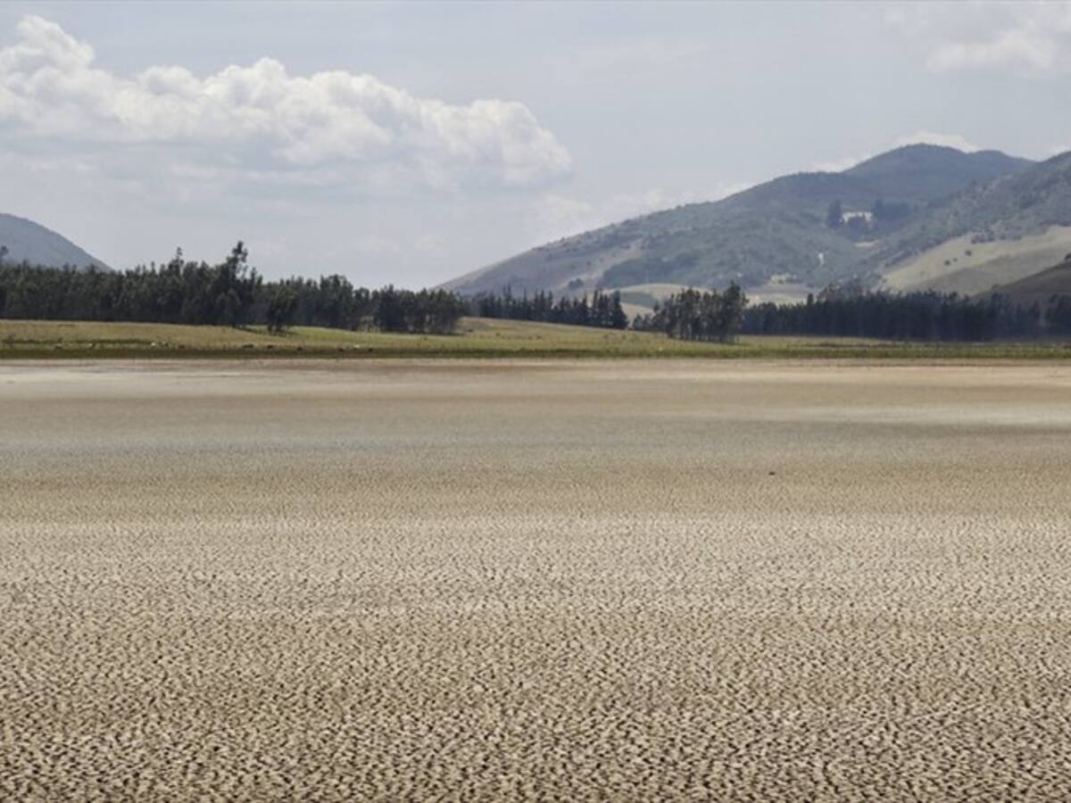 Citan a consejo extraordinario de la CAR para salvar la laguna de Suesca