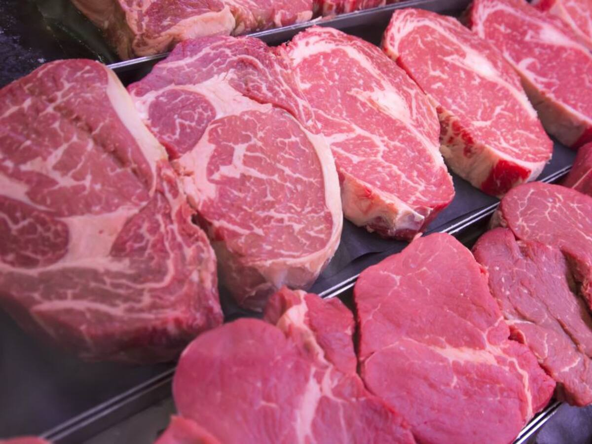 Ganaderos piden que se investigue posible especulación en precios de la carne de res