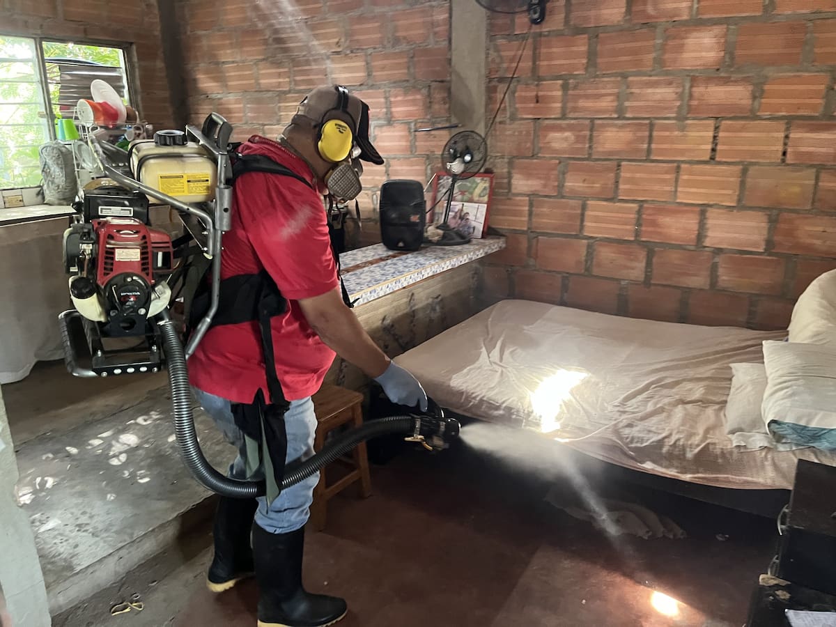 Aumentan los casos de dengue en Cúcuta: la ciudad está en brote tipo 1