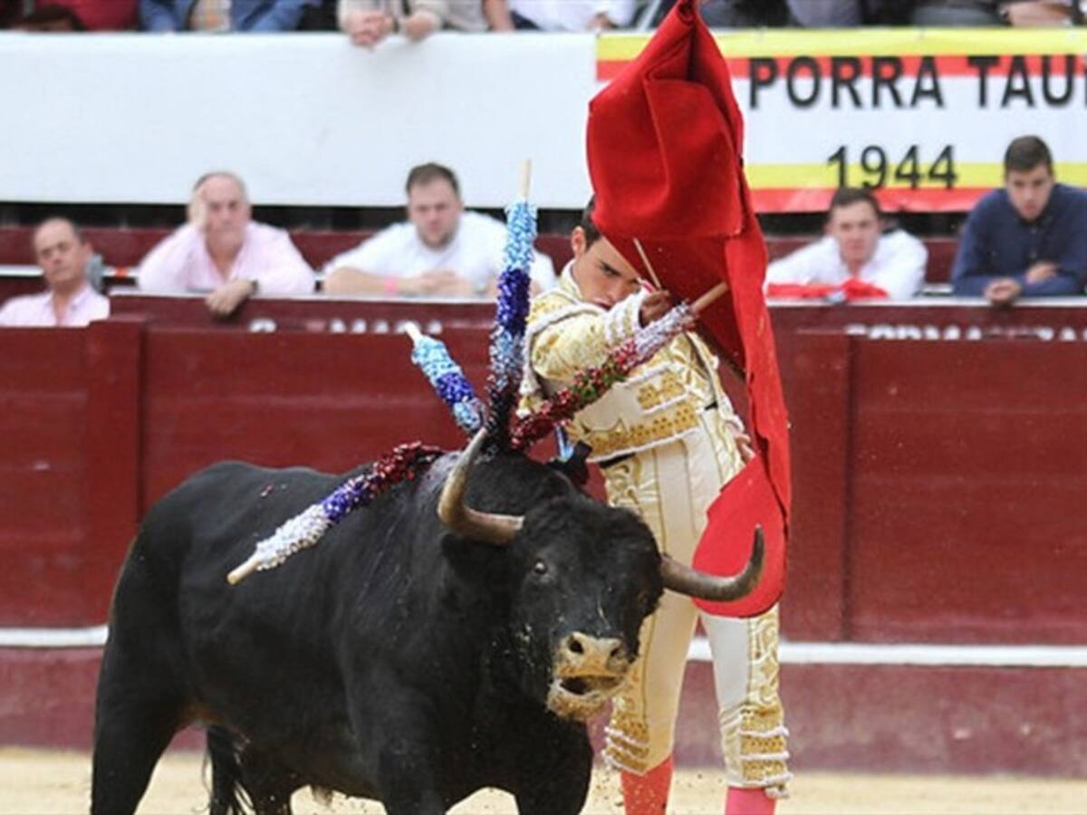 Desde el Congreso insistirán en prohibir las corridas de toros