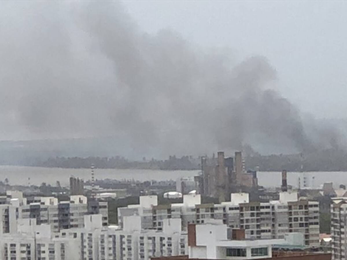 Piden mano dura para quienes provocan incendios en Isla de Salamanca