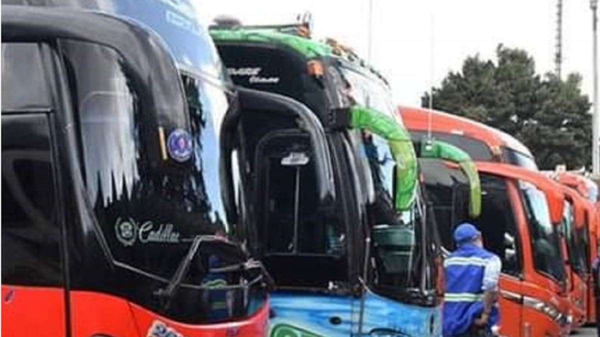 Las nuevas medidas para que los menores de edad puedan viajar en buses intermunicipales