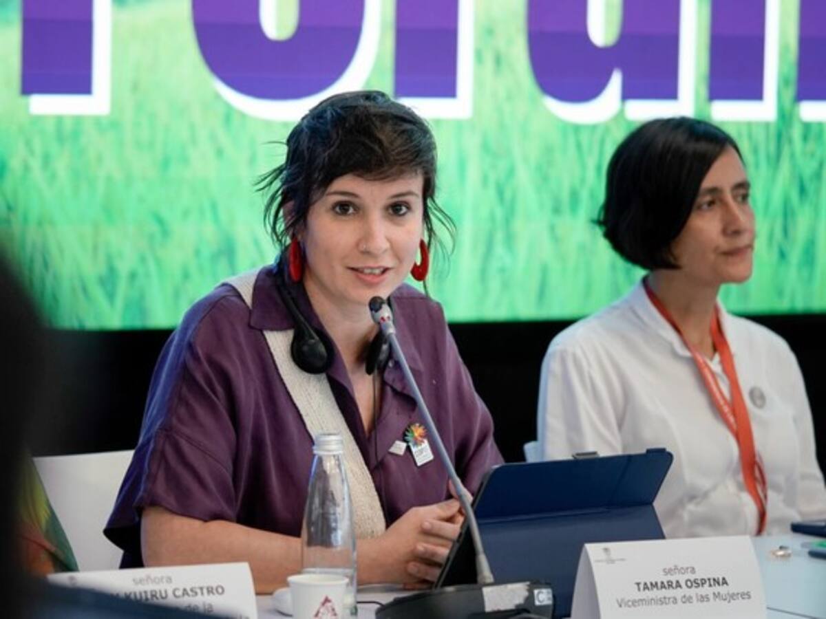 Mi renuncia no se dio por quejas de acoso laboral: Tamara Ospina tras su regreso al MinIgualdad