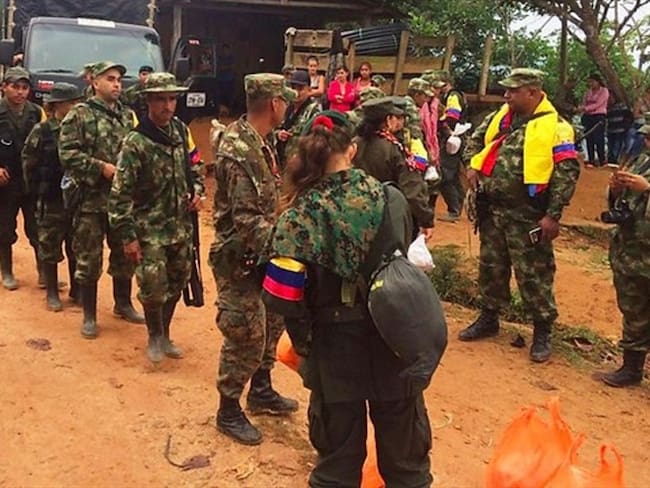 Farc en zona veredal de Putumayo ofrecen ayudar en labores de rescate. Foto: Colprensa