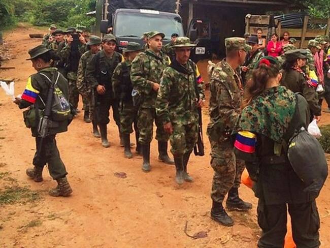 Farc en zona veredal de Putumayo ofrecen ayudar en labores de rescate. Foto: Colprensa