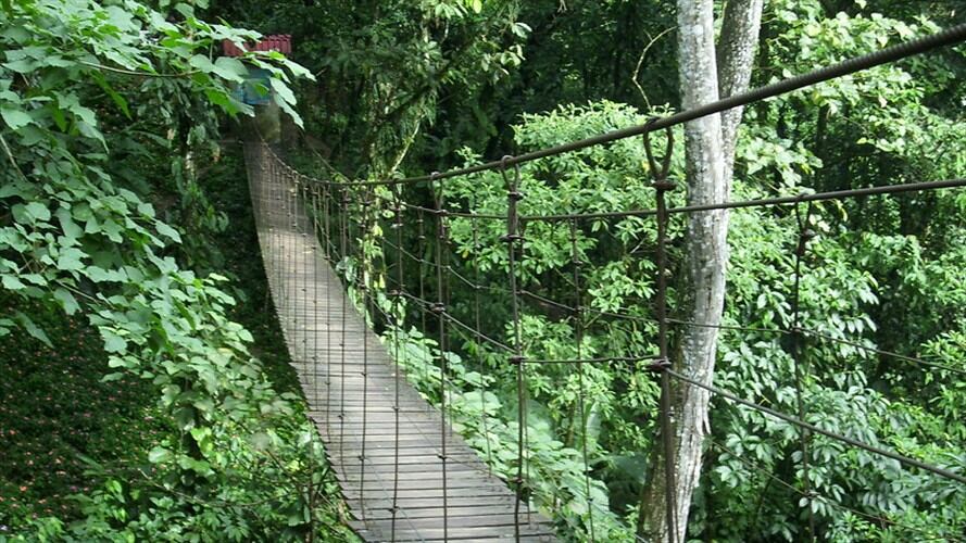El colapso parcial de un puente peatonal ubicado en zona rural del departamento de Caquetá provocó la caída de doce personas al río Bodoquero. Foto: Colprensa - Imagen de referencia
