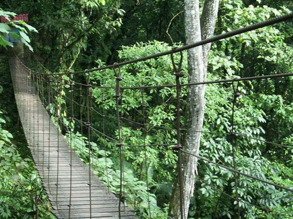 Colapso de un puente peatonal en Caquetá dejó ocho personas heridas