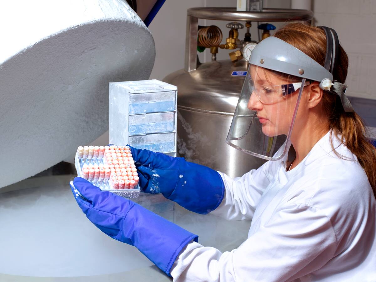 ¿Cuál es el mejor momento para congelar óvulos?