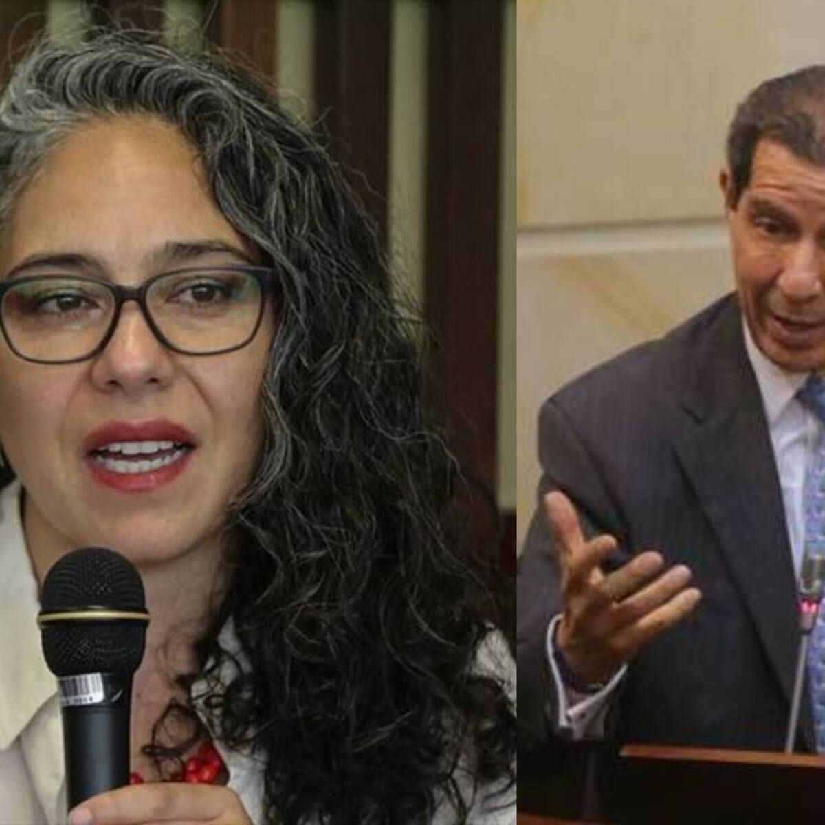 Pizarro sobre Lafaurie en mesa con ELN: entendimos que hay interés común por el país