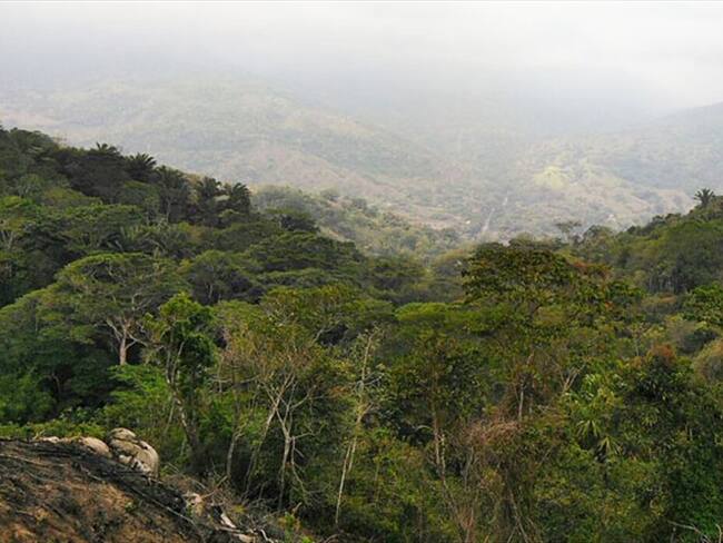 Parque Tayrona. Foto: Agencia Anadolu