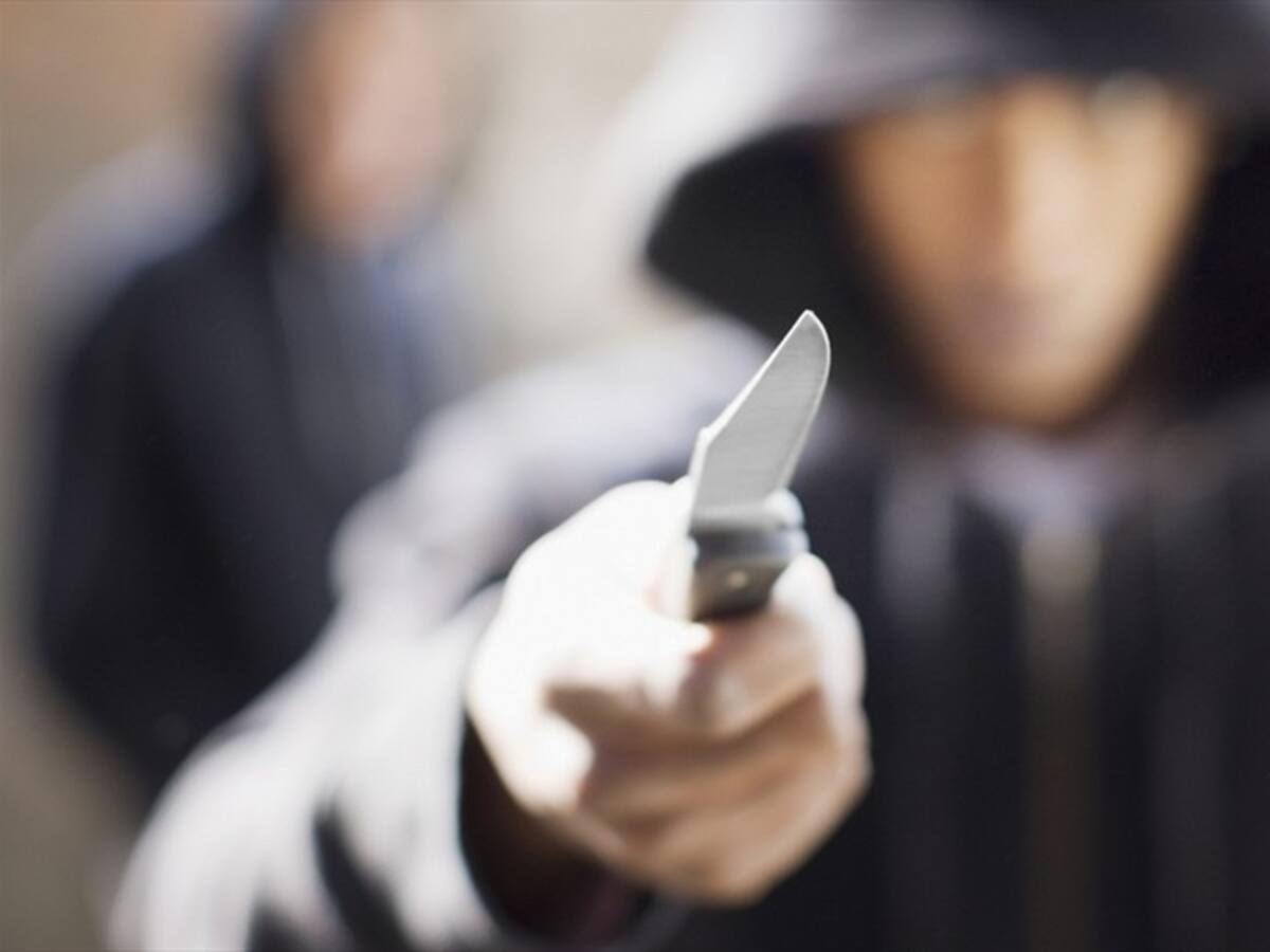 Capturan a dos menores de edad que asaltaban con un perro pitbull en Duitama