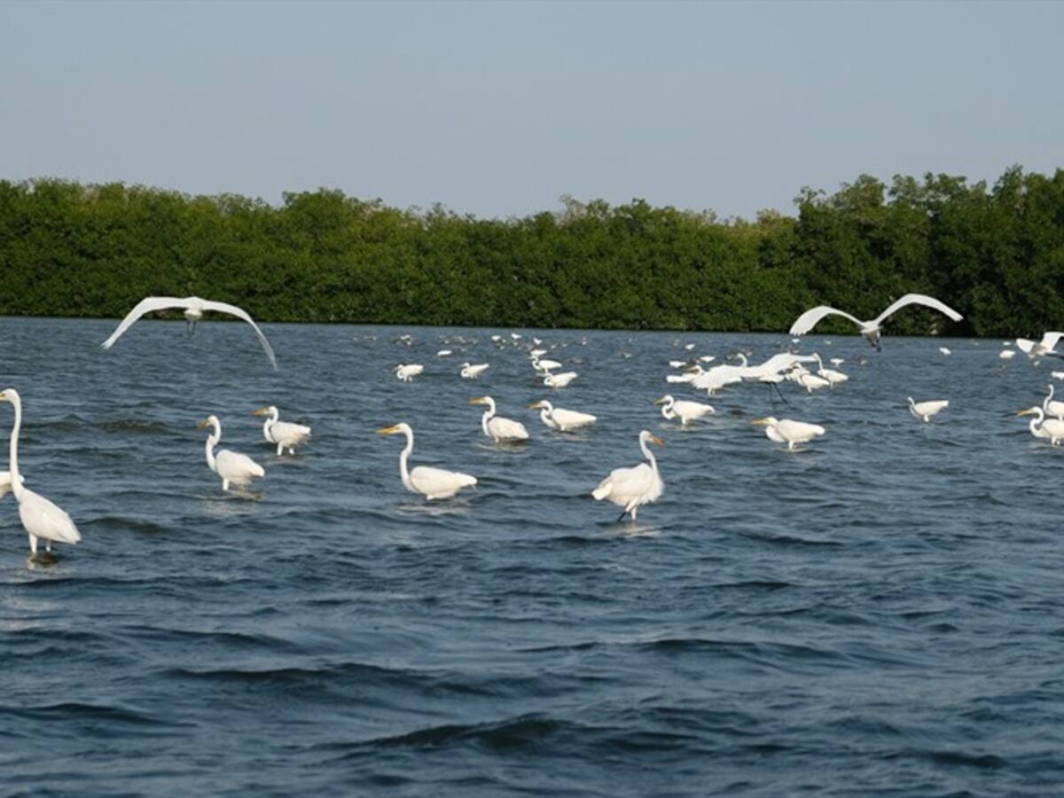 Awake Travel, la plataforma que incentiva el ecoturismo en Colombia