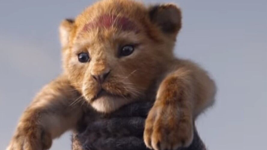 Trailer del Rey León Live Action. Foto: Disney