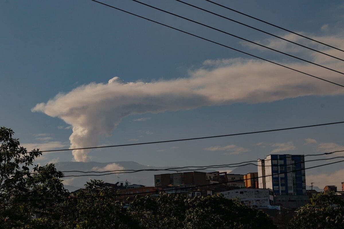 Crédito: Suministrada.