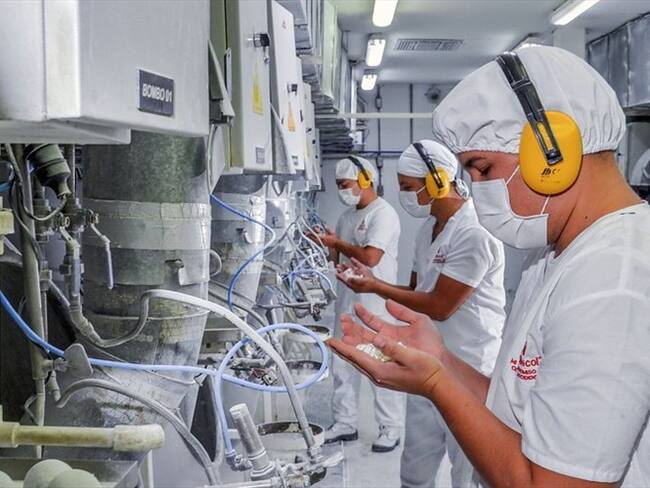 Imagen de referencia. Foto: Colprensa