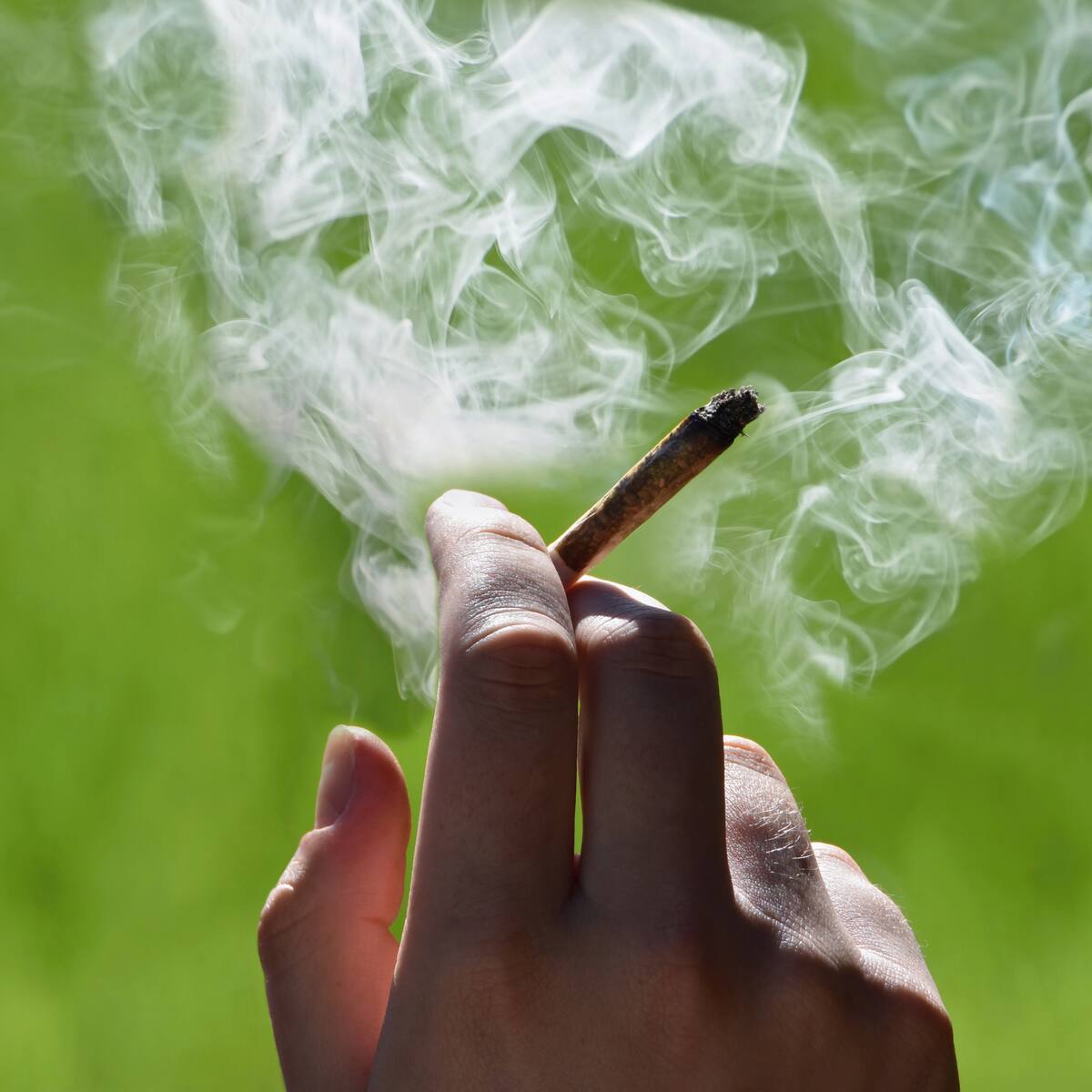 Alcaldes deberán definir en qué parques y tiempos se prohibirá consumo y porte de drogas