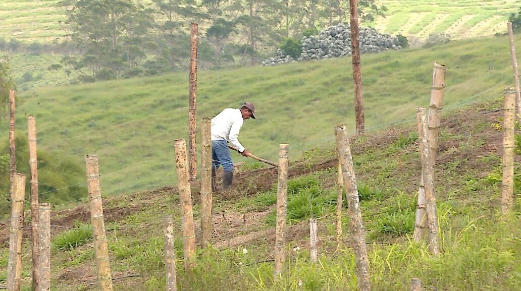 Gobernadora del Valle pide revisar entregas de la ANT en el suroccidente. Foto: Gobernación.