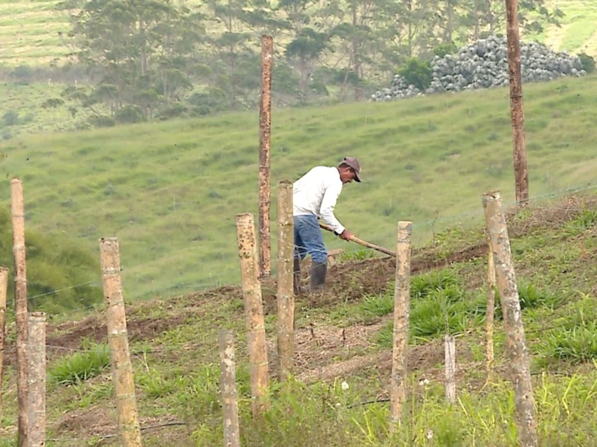 Investigan presuntas presiones de disidencias de las Farc a campesinos del Valle del Cauca