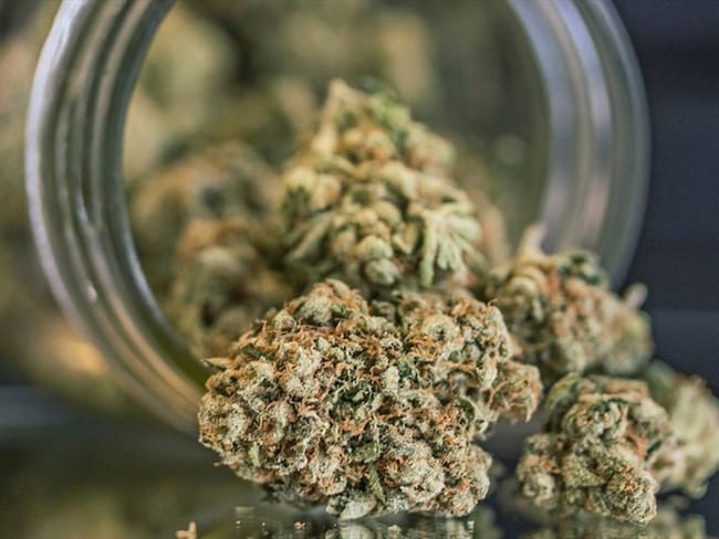 La dosis mínima en Colombia está determinada en 20 gramos de marihuana, uno de cocaína y cinco de hachís. Foto: Getty Images / OKSANA SMITH