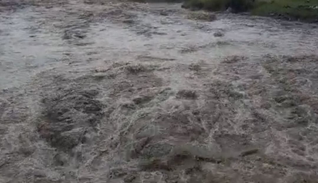 Imagen de referencia