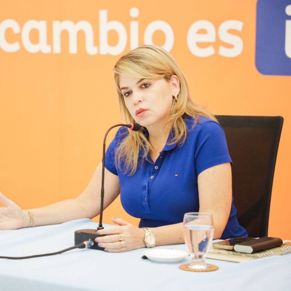 Procuraduría abrió nueva investigación contra la exalcaldesa de Santa Marta, Virna Johnson