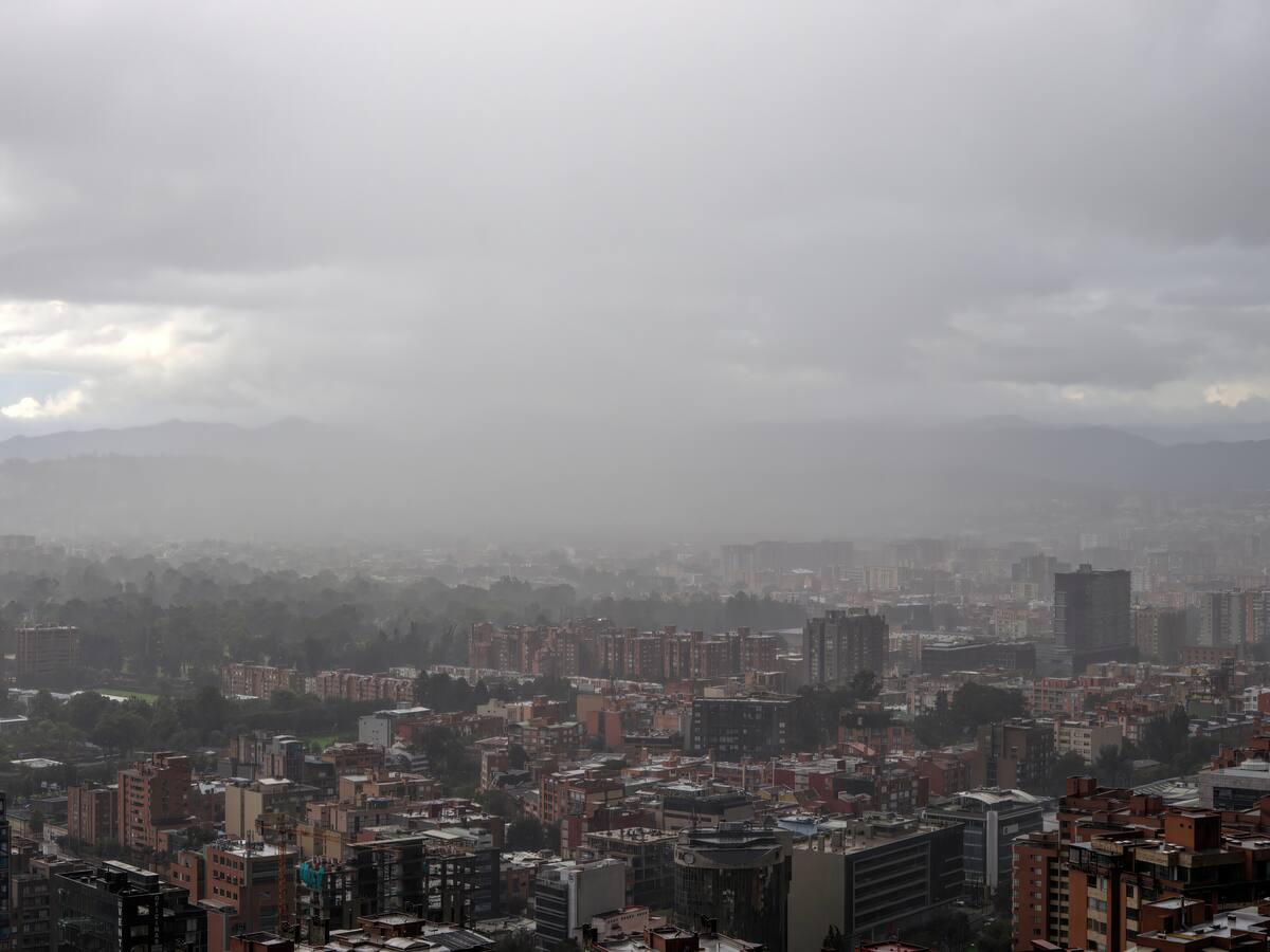 Lluvias en Bogotá: 5 árboles caídos y encharcamientos complican el tránsito en la ciudad