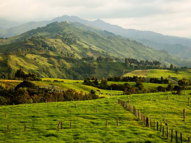 Imagen de referencia de campo colombiano. Foto: Getty Images