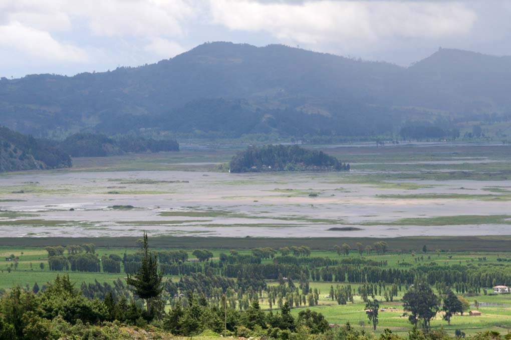 Laguna de Fúquene. Foto: Colprensa