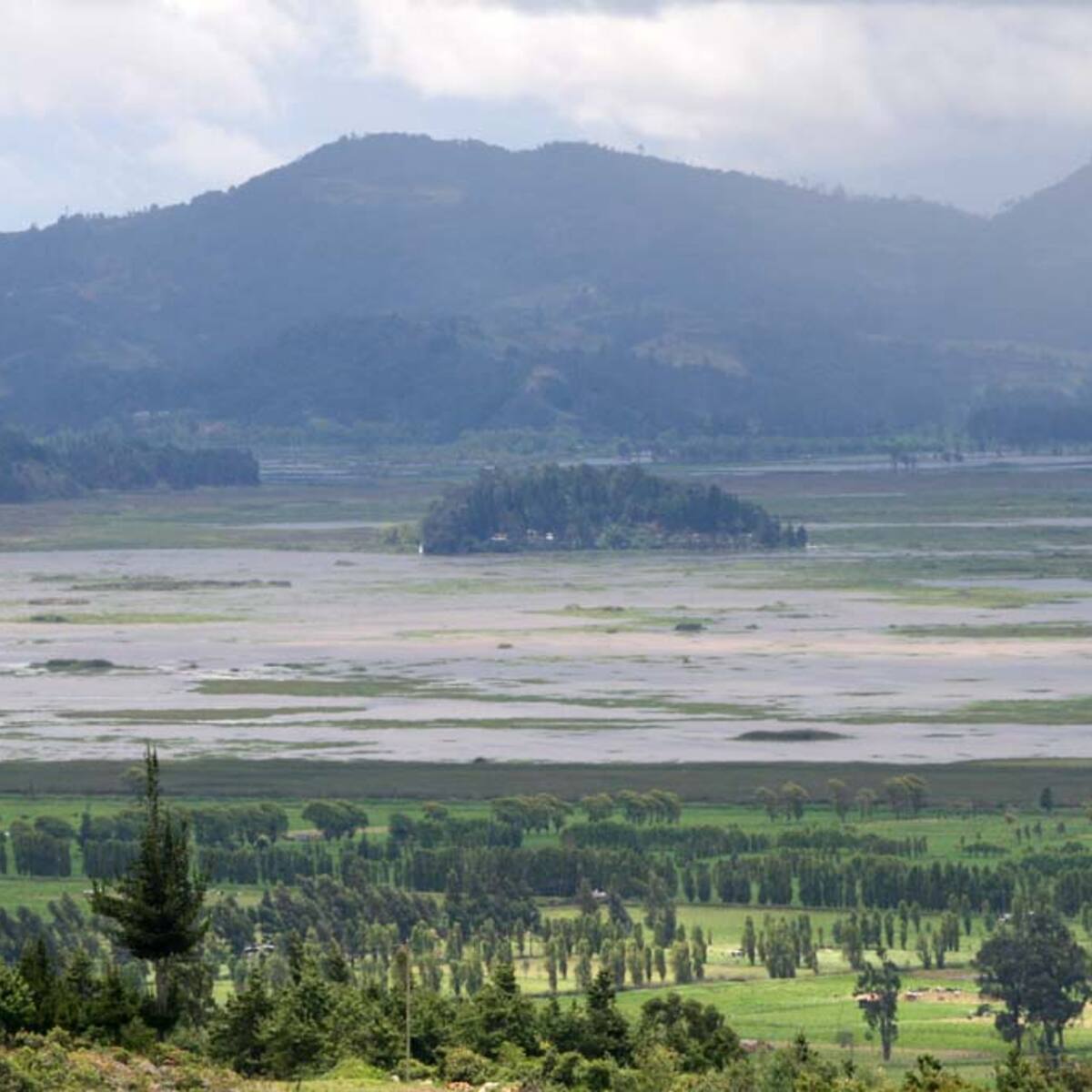 Rehabilitación de la laguna de Fúquene fue ejemplo de sostenibilidad en la COP16