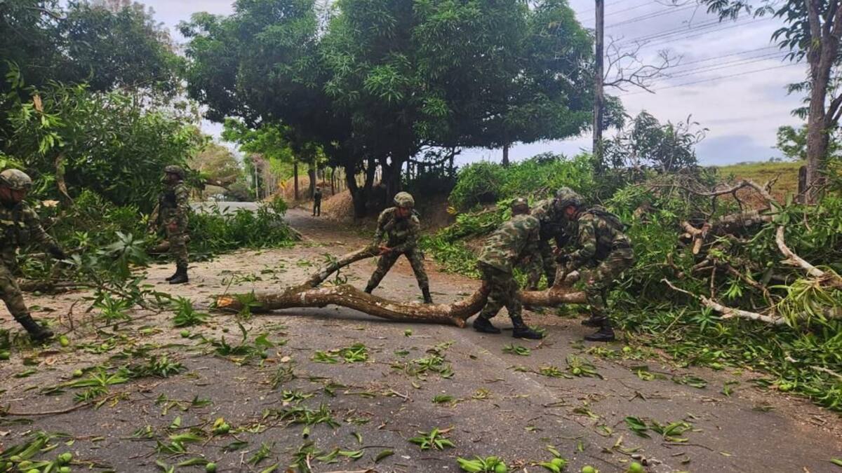 Cuando cesen hechos violentos habrá diálogo: Gobierno por situación del Bajo Cauca