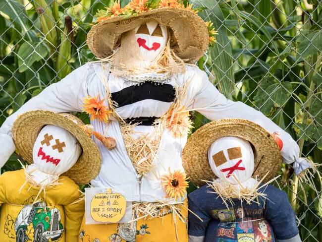 Espantapájaros Halloween. Créditos: Getty Images