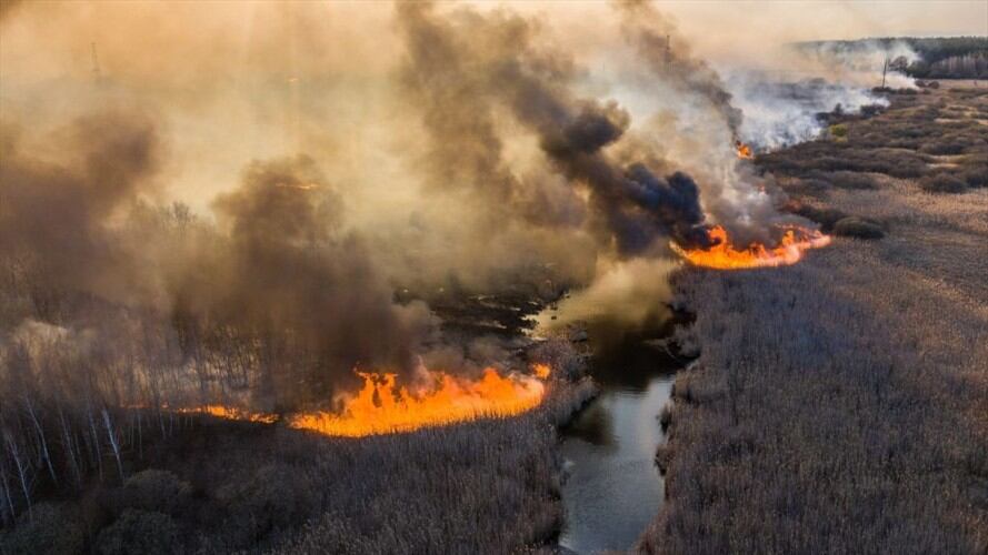 Preocupación en Chernóbil por incendios forestales cercanos a residuos radioactivos. Foto: Getty Images