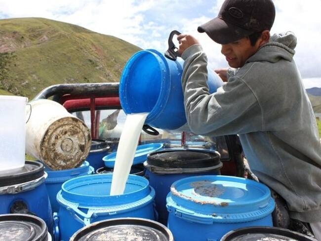 Foto: suministrada / Leche en Colombia