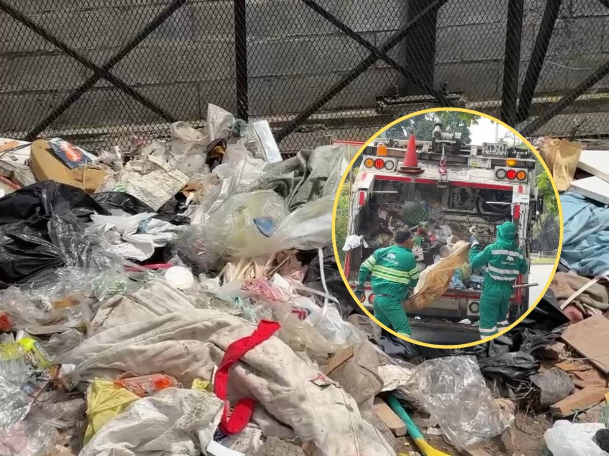 Entre el verde del discurso y el gris de la realidad: la lucha de Cali contra las basuras