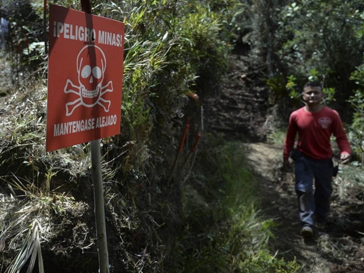 Hallan campo minado en el Catatumbo