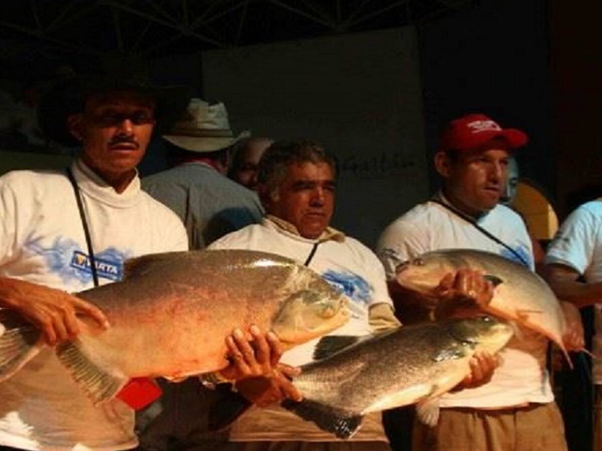 Polémica por millonario gasto en Festival de la Cachama en Puerto Gaitán