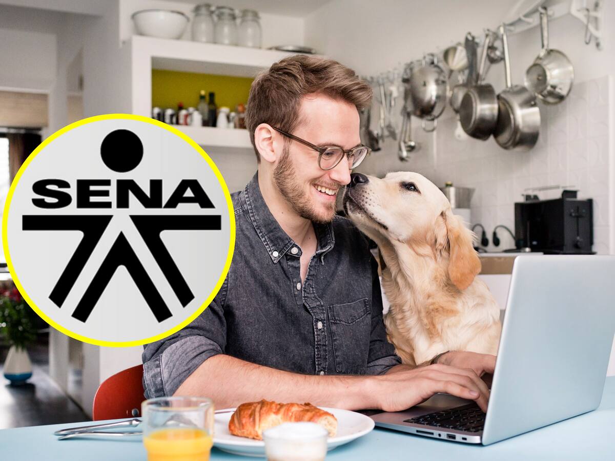 Vacantes de teletrabajo con el SENA: ¿Cómo buscarlas? Paso a paso para aplicar y lista de empleos