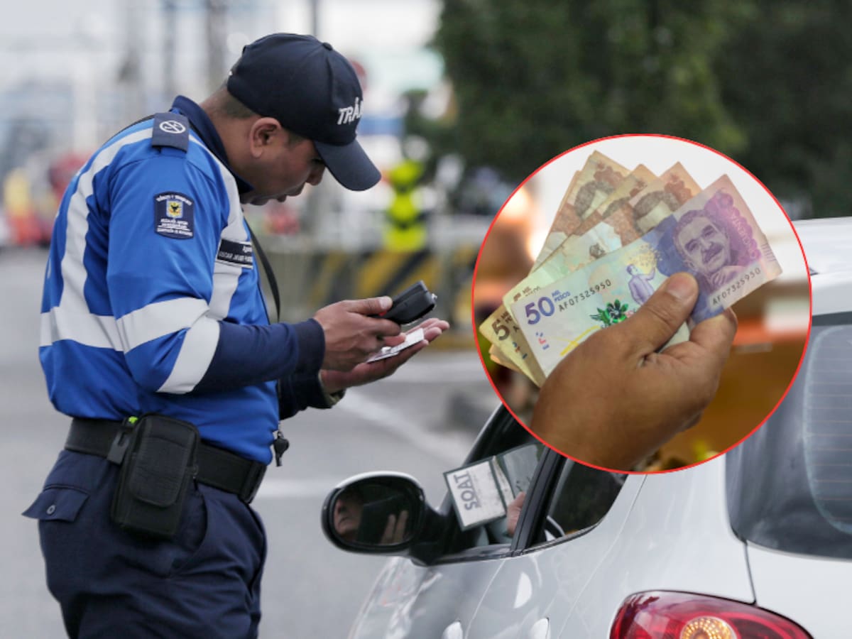 Tipos de comparendos por exceso ruido: ¿de cuánto es la multa y en qué casos se imponen?