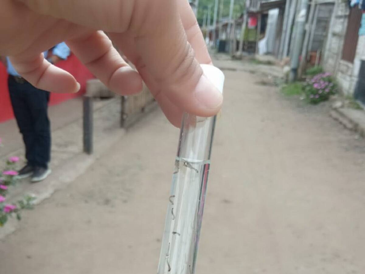Secretaría de Salud de Manizales halló larvas que provocan el dengue en depósito de agua