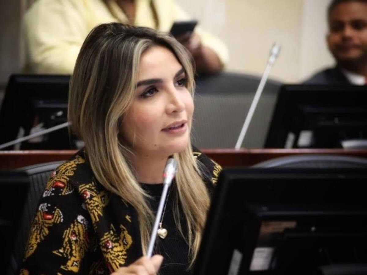 No acompañaremos la mencionada Asamblea Nacional Constituyente: Nadia Blel