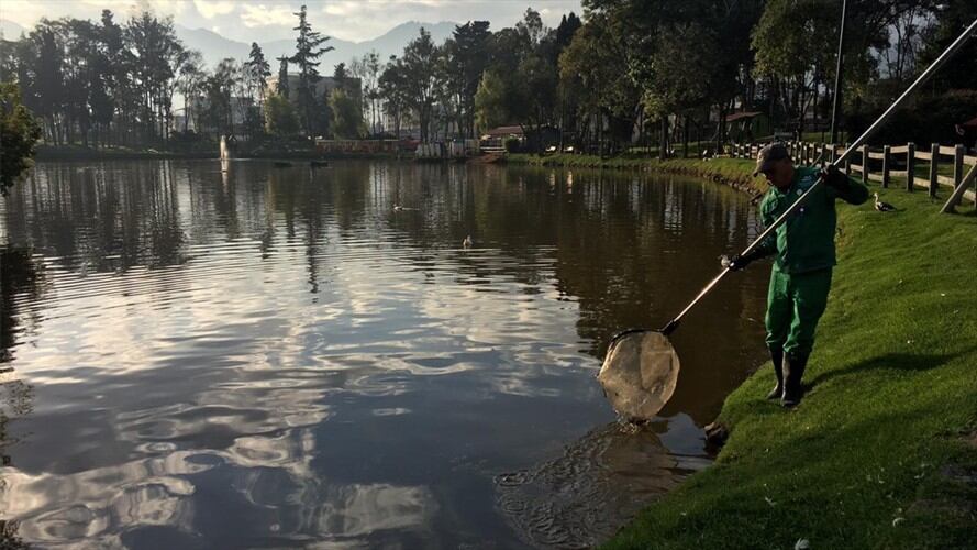 Lago del parque de los novios. Foto: Secretaria de Ambiente
