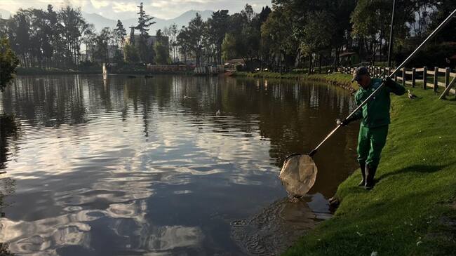 Lago del parque de los novios. Foto: Secretaria de Ambiente