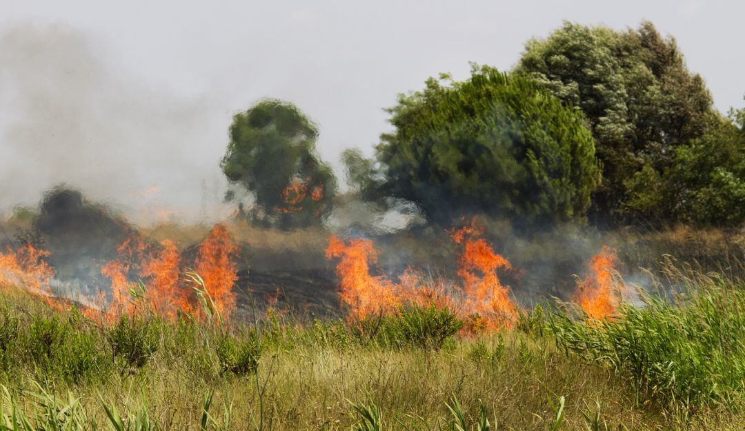 Prohíben quemas abiertas controladas en Norte de Santander. Foto: Archivo.